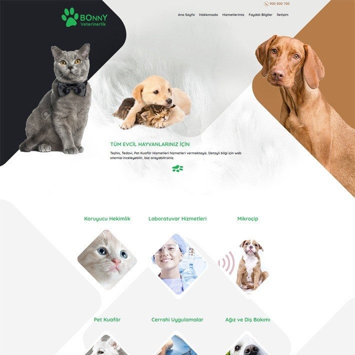 Bonny Veterinerlik adlı web sitesi şablonumuz hizmet kategorisinde yayınlanmaktadır. Veteriner hekimler, pet shoplar ve evcil hayvan bakımı ile ilgili tüm sektörlere hitap etmektedir.