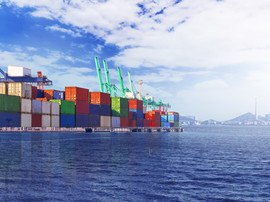 Gümrük Kurye Hizmeti