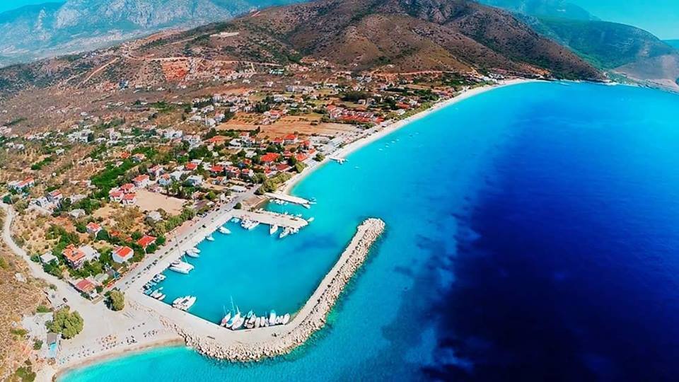 palamutbuku-kusbakisi