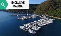 EXCLUSIVE MARINA TRANSFER