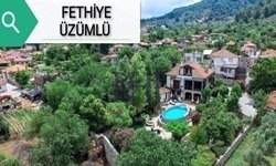 FETHİYE ÜZÜMLÜ