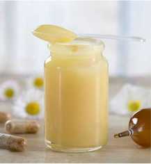 ari-sutu-html-231-51-B