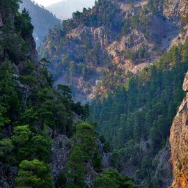 Sandras Ağla Sırtları