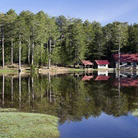 Sandras Serdar Erenler