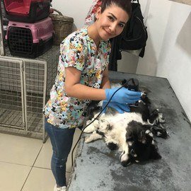 Köyceğiz Veteriner Kliniği