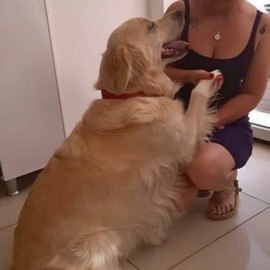 Köyceğiz Veteriner Kliniği