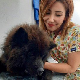 Köyceğiz Veteriner Kliniği