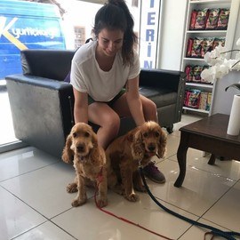 Köyceğiz Veteriner Kliniği