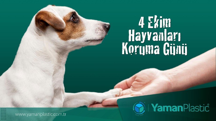 Yaman-2021-Ekim-4EkimHalvanlarıKorumaGünü