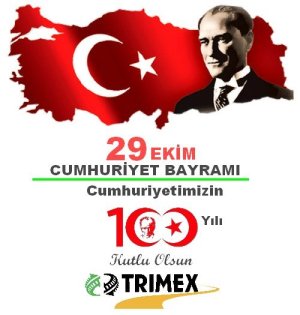 100-yıl