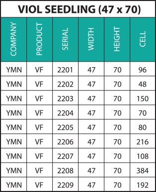 YMN-VIOL-SEEDLING-TABLO-47X70-İNG