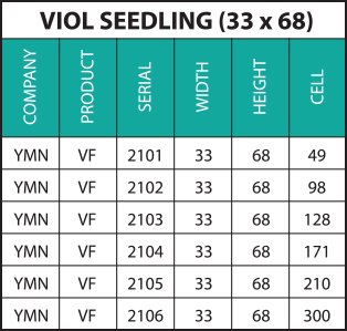 YMN-VIOL-SEEDLING-TABLO-33x68-İNG