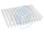 Seedling Trays (33x68)