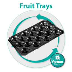 YMN-ViyolMeyve(Fruit)