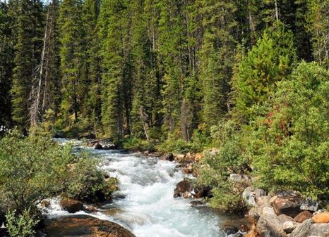 en güzel rafting parkurları raftingo macerada