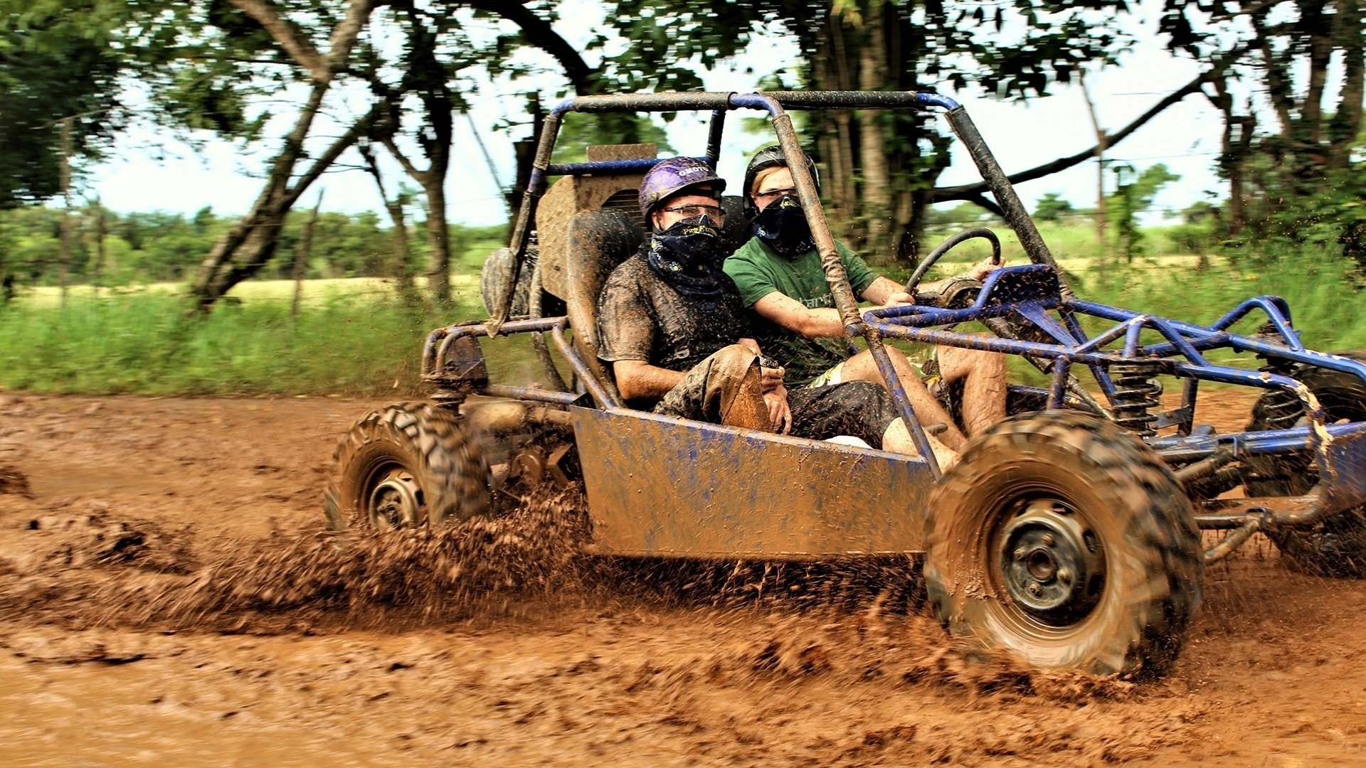 Buggy