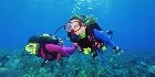Scuba Di̇vi̇ng 1