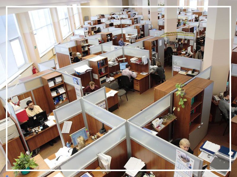 Our Company