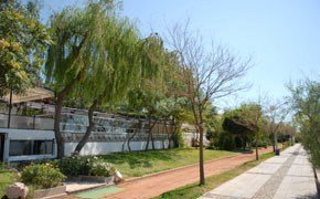 Peyzaj ve Çevre Düzenleme