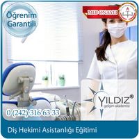 - diş hekimi asistanlığı
