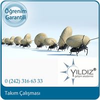 - takım çalışması2