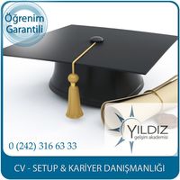 cv setup kariyer danışmanlık