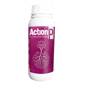 Action P 5-25-5