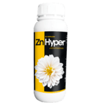 ZnHyper