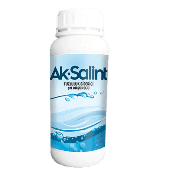 Ak-Salint Tuzluluk Giderici
