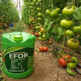 60994266_873875112958739_2102898258220154880_n