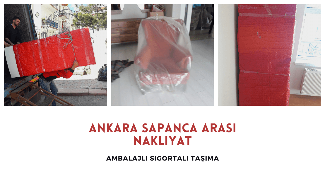 ankara sapanca arasi nakliyat firmasi