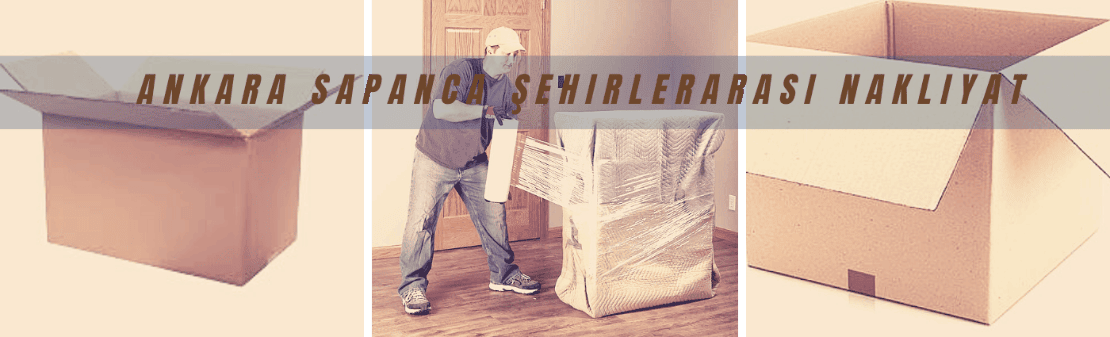 ankara sapanca asansorlu nakliyat