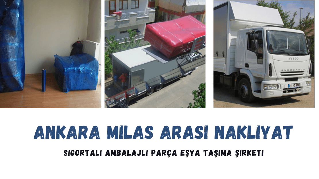 ankara milas arasi nakliyat