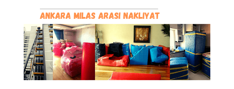 ankara milas nakliyat sirketi