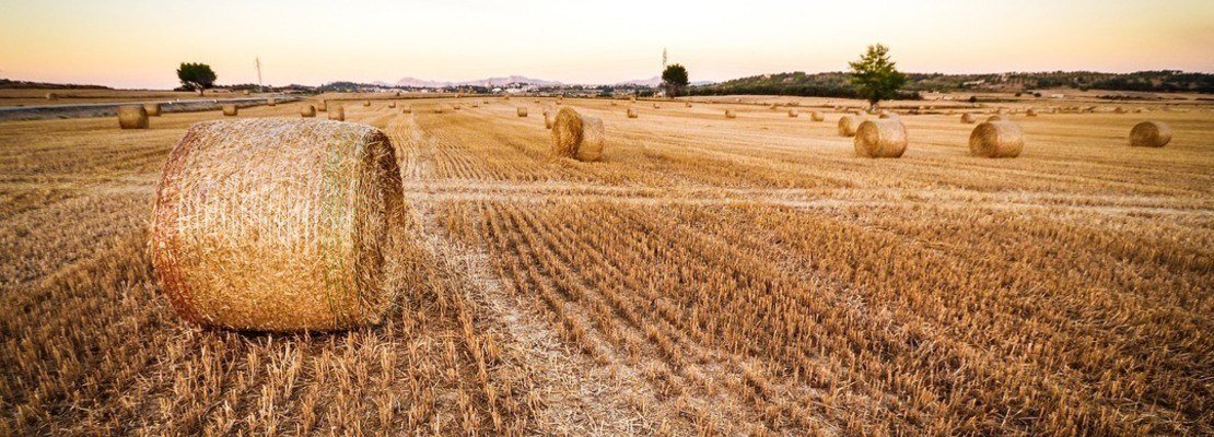 agriculture-1851510_1920