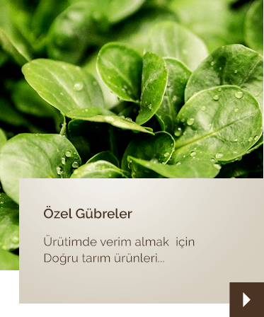özel-gübreler