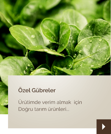 özel-gübreler