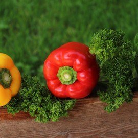 Step Tarım Ürünler