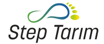 logo-steptarim