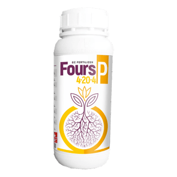 FoursP 4-20-4