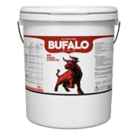 Bufalo