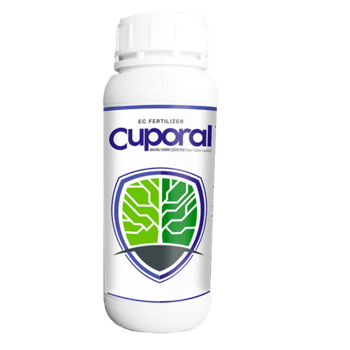 Cuporal Sıvı Bakır