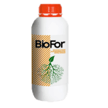 BioFor