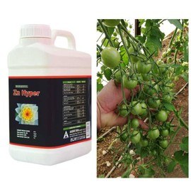 52508177_817138598632391_4350916185697550336_o