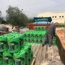 53714824_832549317091319_3353377818946830336_n