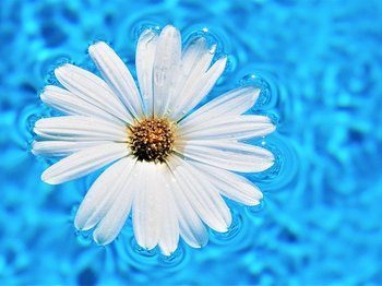 Havuz Suyunun Temizliğini Nasıl Ölçeriz?