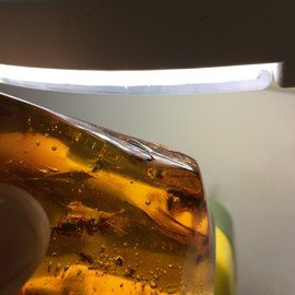 Fosilli Damla Kehribar