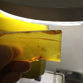 Fosilli Damla Kehribar