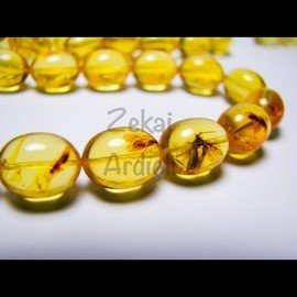 Fosilli Damla Kehribar