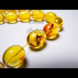 Fosilli Damla Kehribar